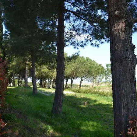 Le Valline